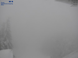 Červená sjezdovka, Třinec