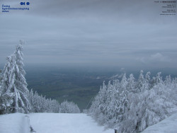 Červená sjezdovka, Třinec