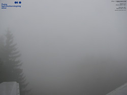 Červená sjezdovka, Třinec