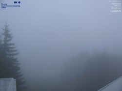 Rote Skipiste, Třinec