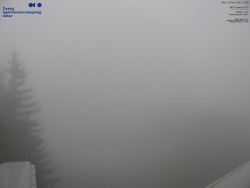 Rote Skipiste, Třinec
