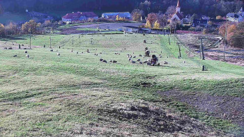 Snímek    26.10.2025 v 15:00