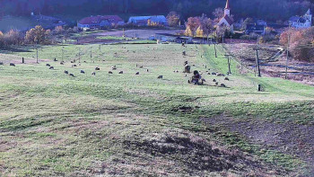 Snímek    26.10.2025 v 15:20