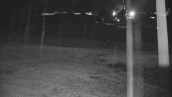 Snímek    29.10.2025 v 02:55