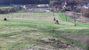 Skiareál Hlubočky - Horní část sjezdovky skiareálu Hlubočky - 31.10.2025 v 13:40 Skiareál Hlubočky - Horní část sjezdovky skiareálu Hlubočky - 31.10.2025 v 13:40