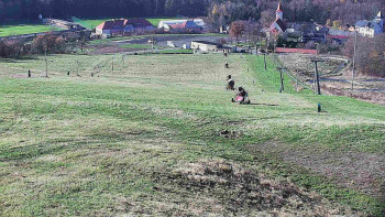 Snímek    4.11.2025 v 12:55