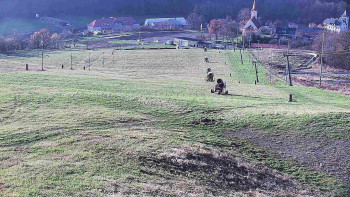 Snímek    4.11.2025 v 14:55