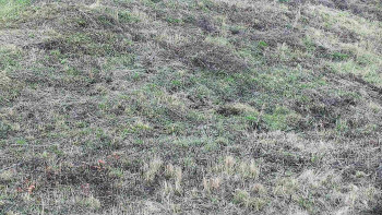 Snímek 7.11.2025 v 08:20