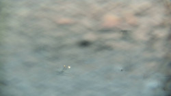 Horní část sjezdovky skiareálu Hlubočky