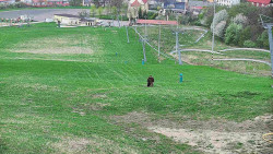 Horní část sjezdovky skiareálu Hlubočky