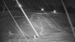 Sjezdovka skiareálu Hlubočky