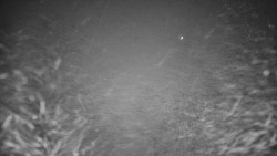 Sjezdovka skiareálu Hlubočky