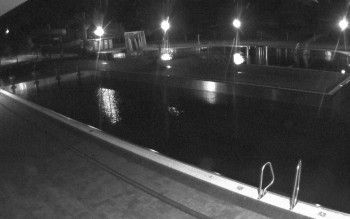 Snímek    28.10.2025 v 23:15