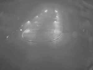 Město Žatec - Náměstí Svobody - 6.2.2026 v 01:30 Město Žatec - Náměstí Svobody - 6.2.2026 v 01:30