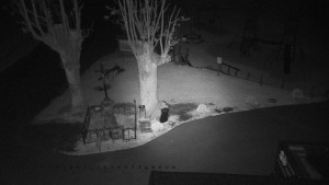 Horský hotel Čarták na Soláni - Pohled na Amfiteatr - 5.5.2025 v 01:00 Horský hotel Čarták na Soláni - Pohled na Amfiteatr - 5.5.2025 v 01:00