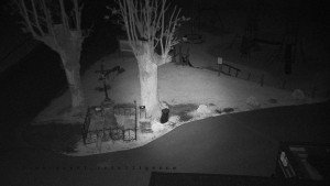 Horský hotel Čarták na Soláni - Pohled na Amfiteatr - 5.5.2025 v 04:05 Horský hotel Čarták na Soláni - Pohled na Amfiteatr - 5.5.2025 v 04:05