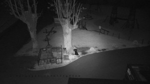 Horský hotel Čarták na Soláni - Pohled na Amfiteatr - 5.5.2025 v 21:01 Horský hotel Čarták na Soláni - Pohled na Amfiteatr - 5.5.2025 v 21:01