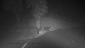 Horský hotel Čarták na Soláni - Pohled na Amfiteatr - 7.10.2025 v 20:00 Horský hotel Čarták na Soláni - Pohled na Amfiteatr - 7.10.2025 v 20:00