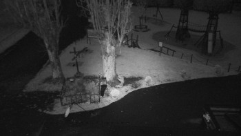 Snímek    25.10.2025 v 06:40