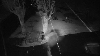 Snímek    25.10.2025 v 18:35