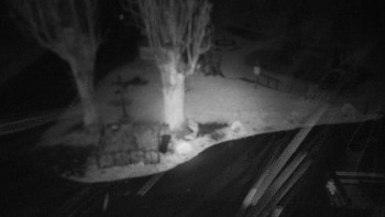Snímek    26.10.2025 v 03:40