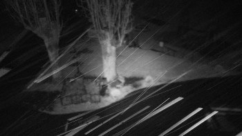 Snímek    26.10.2025 v 04:55