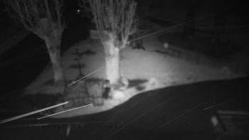 Snímek    26.10.2025 v 05:35