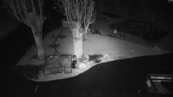 Snímek    26.10.2025 v 17:40