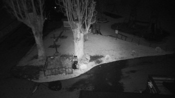 Snímek    26.10.2025 v 21:51