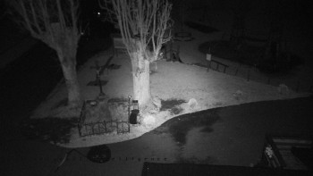 Snímek    27.10.2025 v 01:05