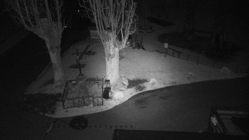 Snímek    27.10.2025 v 03:10