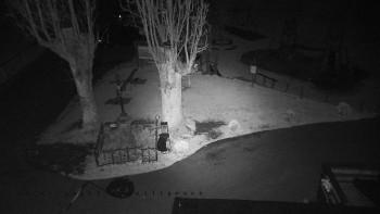 Snímek    27.10.2025 v 03:55