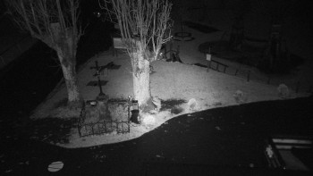 Snímek    27.10.2025 v 18:01