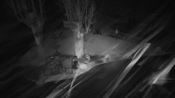 Snímek    28.10.2025 v 17:46