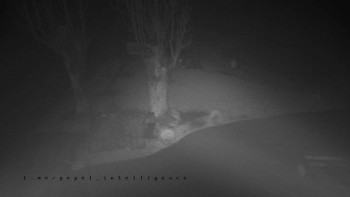 Snímek    28.10.2025 v 18:20