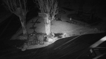 Snímek    28.10.2025 v 20:31