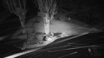 Snímek    29.10.2025 v 02:16