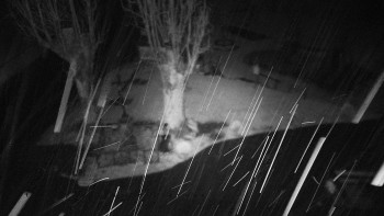 Snímek    29.10.2025 v 03:55