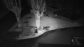 Snímek    29.10.2025 v 23:35