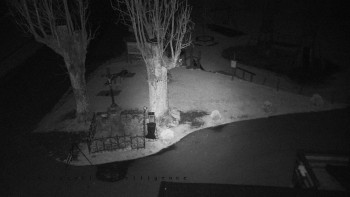 Snímek    30.10.2025 v 02:20