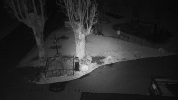 Snímek    30.10.2025 v 02:35