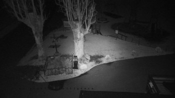 Snímek    30.10.2025 v 02:55