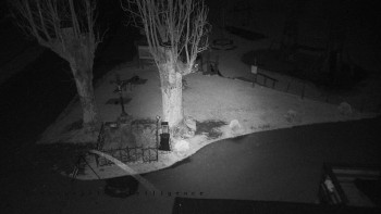 Snímek    30.10.2025 v 03:20