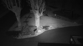 Snímek    31.10.2025 v 00:16