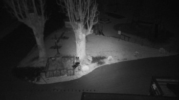 Snímek    31.10.2025 v 01:46