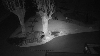 Snímek    31.10.2025 v 02:05