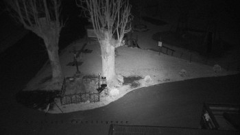 Snímek    31.10.2025 v 03:35