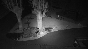 Snímek    31.10.2025 v 04:10