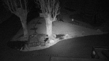 Snímek    31.10.2025 v 05:05