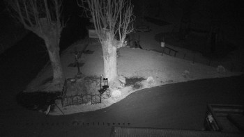 Snímek    31.10.2025 v 05:25